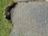 image of grave number 956931